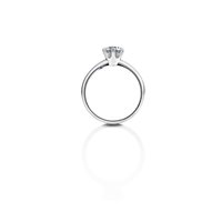 Anello Casciola Gioielli Donna FABRIZIO CASCIOLA in Oro bianco Diamante 0.33 Ct ARIA CT0.33 FVS - ARIA CT0.33 FVS